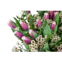 Kytice prémiových tulipánů